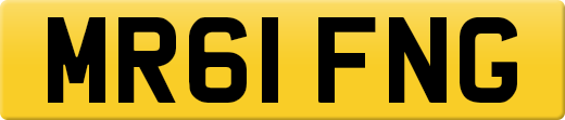 MR61FNG